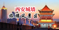 用屌插屄的视频中国陕西-西安城墙旅游风景区